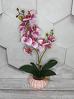 Композиция из Латексных орхидей Вип класса на Две веточки в Керамическом горшочке