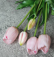 Тюльпаны латексные Премиум качества, в букете 5 веточек - (цвет нежно розовый)