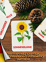 Карточки Домана Цветы на немецком языке, в наборе 24 карточек