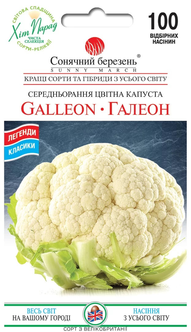 Капуста цвітна Галеон 100 шт  Солнечный март, фото 1