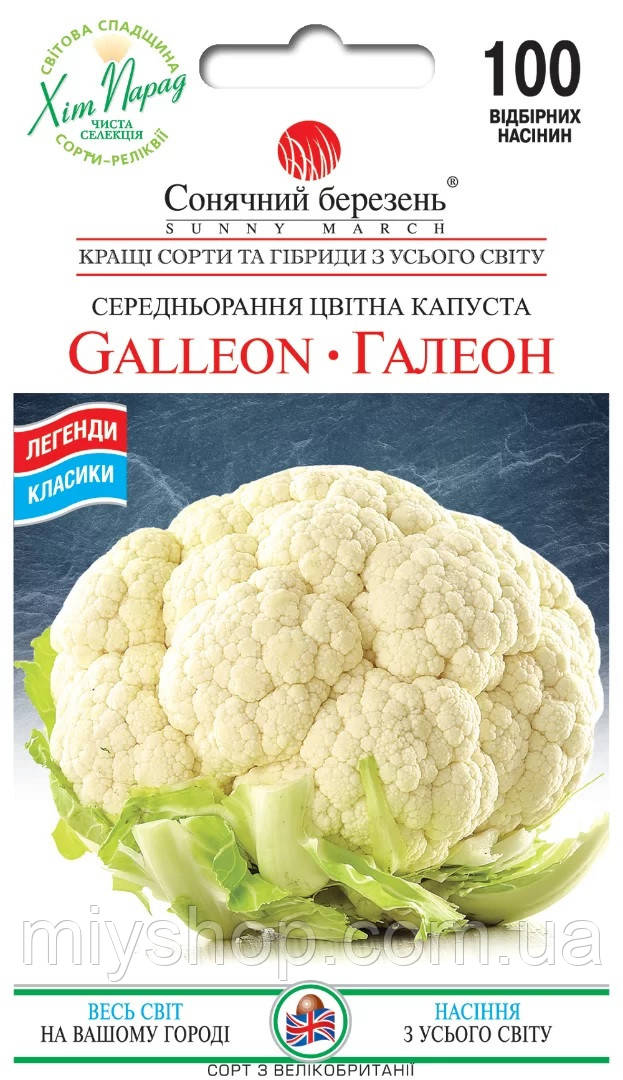 Капуста цвітна Галеон 100 шт  Солнечный март, фото 1