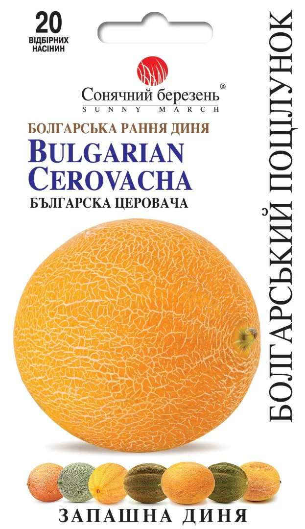 Диня Болгарський поцілунок 20 шт Сонячний березень