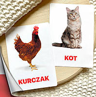 Карточки Домана Домашние животные на польском языке, в наборе 15 карточек