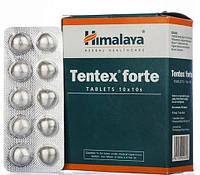 ТАНТЕКС ФОРТЕ "ХІМАЛАЯ" (100 ТАБ) TANTEX FORTE "HIMALAYA"