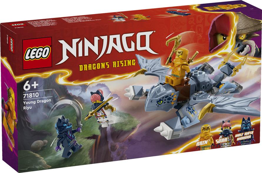 Конструктор Lego Ninjago Молодий дракон Рію 71810