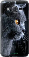 Чехол на Samsung Galaxy J2 J200H Красивый кот "3038u-190-71305"