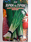 Цибуля Лучок на пучок 10 г двулітка (10 пачок)