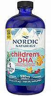 NORDIC NATURALS omega-3 DHA ACIDS PURITY 473 мл