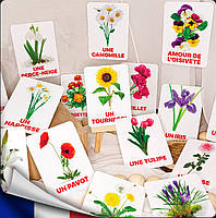 Карточки Домана Цветы на французском языке, в наборе 24 карточек