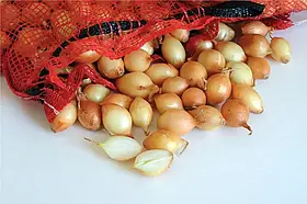 Цибуля саджанка Ефект (продовгувата) 10 кг мішок, 8-21 мм LKE