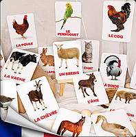 Карточки Домана Домашние животные на французском языке, в наборе 15 карточек