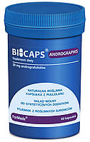BICAPS ForMeds ANDROGRAPHIS Хвороба Лайма 60капс