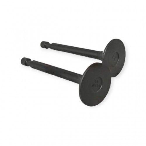 Клапана (комплект) для AL-KO PRO 125, фото 1