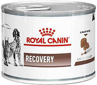 Royal Canin DOG/CAT Recovery 195g консервна банка Dog Cat