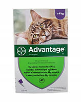 BAYER ADVANTAGE CAT 0,8 МЛ (ПОНАД 4 КГ) - 1 піпетка