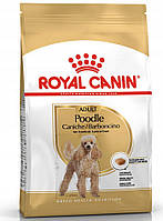 Корм для дорослих пуделів Royal Canin Poodle 1,5 кг