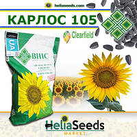 Семена подсолнечника гибрид КАРЛОС 105 (под Евро-Лайтнинг) стандарт