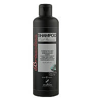 Шампунь мужской Brizzolina Shampoo Kleral System, 1000 мл