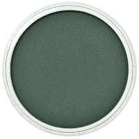 PanPastel Панпастель - 620.1 Phthalo Green Extra Dark