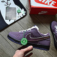 Мужские кроссовки Concepts x Dunk Low Pro SB 'Purple Lobster'