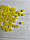 Бусини матові " Лід " 8 мм, жовті   500 грам, фото 6