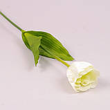 Квітка штучна, Тюльпан білий, H 60 см, Штучні квіти, Дніпро, фото 2