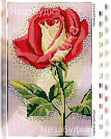 Схема для вышивки бисером - Красная роза