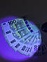 Ультрафіолетовий UV Flashlight ліхтарик 395nm, фото 7