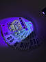 Ультрафіолетовий UV Flashlight ліхтарик 395nm, фото 8