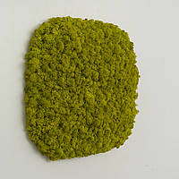 Панно из мха - Cуперэллипсная панель 33 см - Lime Green - Organic Design