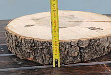 Зріз натурального дерева (не оброблений) d 330х340мм., фото 2