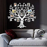Сімейне дерево🌳 Колібрі 2 фоторамка, родинне дерево на стіну з фото рамками Колібрі, фото 3