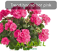 Trend Hanna Hot Pink