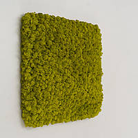 Панно из мха - Квадратная панель 33 см - Lime Green - Organic Design