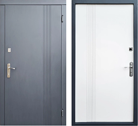 Вхідні двері в квартиру Форт-М Стиль Економ+притвор