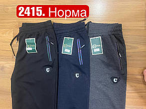 Чоловічі спортивні штани на манжеті №2415 р.XL-5XL, фото 2