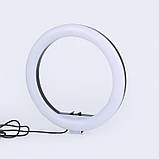 Кільцева лампа для фото світлокомплект 30, Професійна кільцева лампа для трансляцій PH-64, фото 7