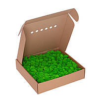 Стабилизированный мох - Ягель - Light Green - Салатовый - 1 кг - Organic Design