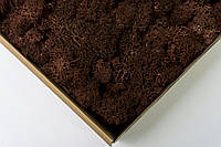Стабилизированный мох - Ягель - Brown - 0,5 кг - Organic Design