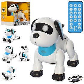 Інтерактивна собака-робот K21 на радіокеруванні, виконує команди, реагує на бавовну, на акумуляторі