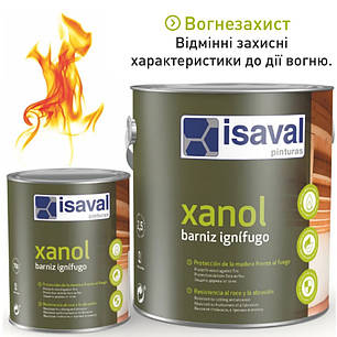 Ксанол пропитка для сурового климата полуматовый (уп.2,5 л), фото 3