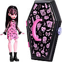 Лялька Монстр Хай Дракулаура Органайзер Monster High Draculaura HJH64, фото 3