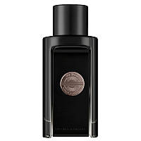 The Icon Antonio Banderas eau de parfum 100 ml TESTER