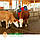 Щітка для корів автоматична HAPPYCOW Duo, фото 6