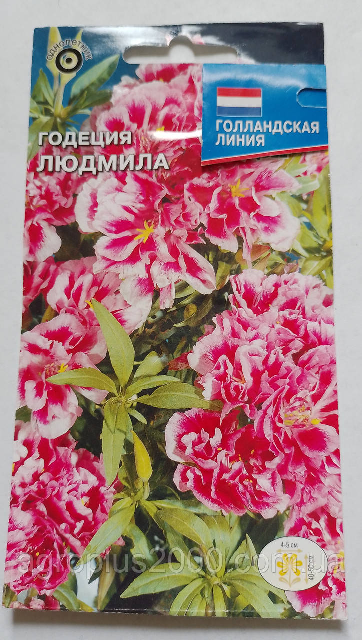 Насіння годеція Людміла 0,1 грама