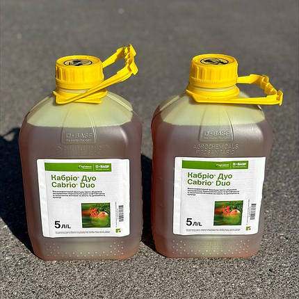 Фунгіцид Кабріо Дуо BASF 5л, фунгіцид для цибулі, для огірків для томатів, фото 1