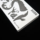 Камінь Shapton Rock Star Stones, 210х70х10мм 2000grit (6mkm), фото 2