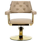 Гідроповоротне перукарське крісло для перукарні, перукарське крісло Ezra, фото 3