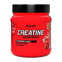 Креатин Evolite Nutrition Creatine Monohydrate, 500 грамм Клубника CN14841-4 VH