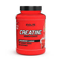 Креатин Evolite Nutrition Creatine Monohydrate, 1 кг Клубника CN14842-4 VH